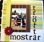 12 - trötta mostrar